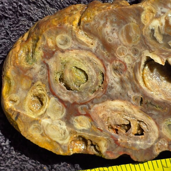 Small cutting of Orbicular Rhyolite - Picture 6 of 10